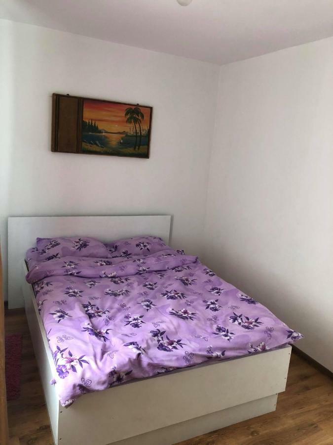 Apartament Visan Appartamento Feleacu Esterno foto