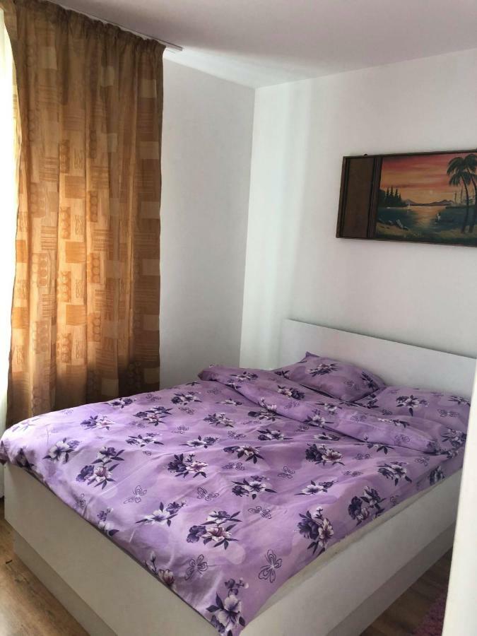 Apartament Visan Appartamento Feleacu Esterno foto